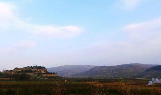 三国志战略版魏骑兵 三国志战略版魏骑兵